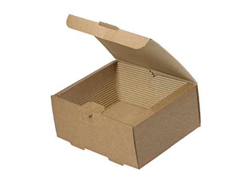 Tessera Bio Products QWBP Kraftpapier 2-Lagige Große Portion Foodbox, Naturfarbe, 22.5cm Länge, 17cm Breite, 9.3cm Höhe, 100 pcs von Tessera Bio Products