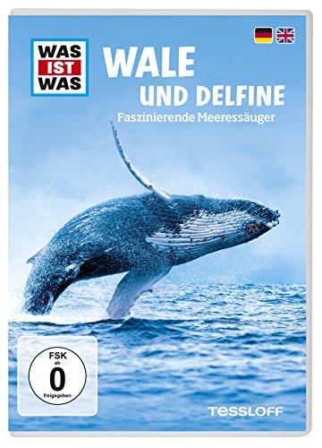 Was Ist Was DVD Wale und Delphine. Faszinierende Meeressäuger Was Ist Was DVD Wale und Delphine. Faszinierende Meeressäuger von Tessloff
