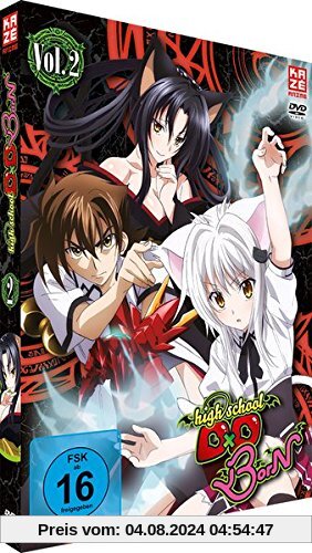 Highschool DXD BorN (3.Staffel) - Vol.2 von Tetsuya Yanagisawa