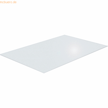 Tex Hundeboxmatte FCCAGE89ER 89x119cm transparent von Tex