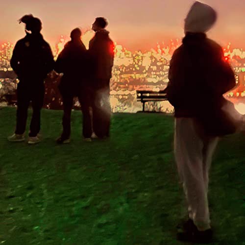 Secret Life [Vinyl LP] von Text Records