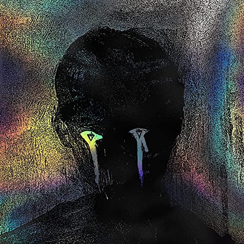 COLOR DECAY [Vinyl LP] von Thaivee