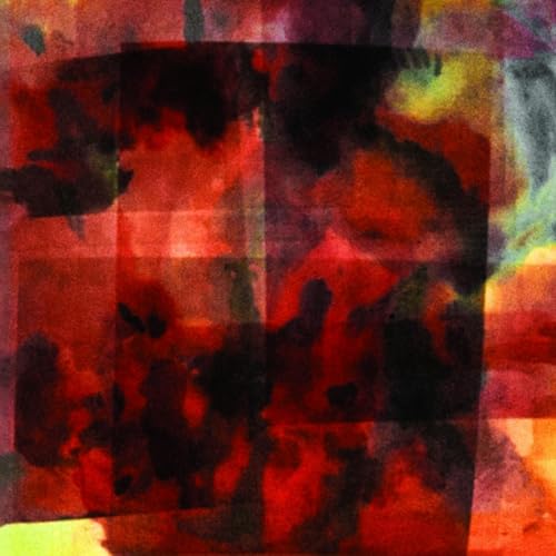 In This Forever Unfolding Moment [Vinyl LP] von Thanatosis Produktion
