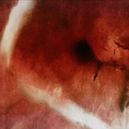 The Death of Kalypso [Vinyl LP] von Thanatosis Produktion