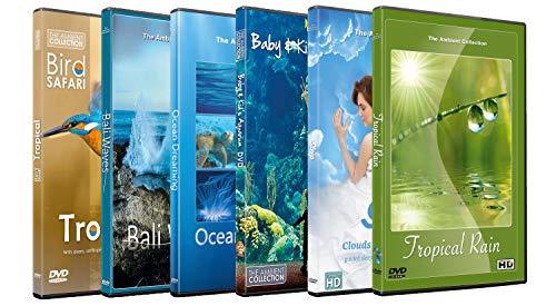 6 Disc Set Sleep Time DVD Combo Pack 2 - Fall Asleep Fast on these HD Videos with Bird, Rain, Ocean Waves Sounds for Relaxation von The Ambient Collection