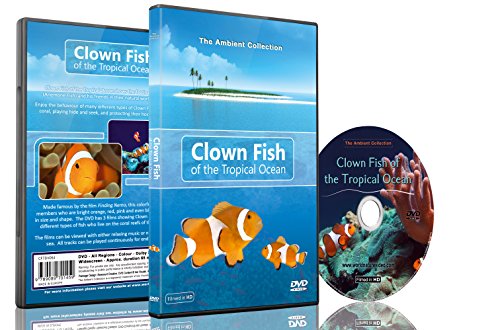 Clownfisch DVD - Clownfische im tropischen Ozean - Tauchen mit Nemo von The Ambient Collection