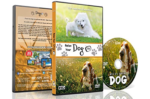 DVD für Hunde zum Anschauen - Entspannende Hundevideos - Entspannen sie Ihre Hunde mit supersüßen Hunden in natürlicher Landschaft von Stränden bis Schnee, um Ihren Hund zu beruhigen von The Ambient Collection