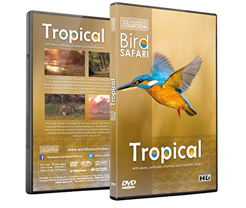 Entspannung DVD - Vogel Safari - Tropische Vögel, Tierwelt und Natur mit Entspannender Musik oder Naturgeräuschen von The Ambient Collection