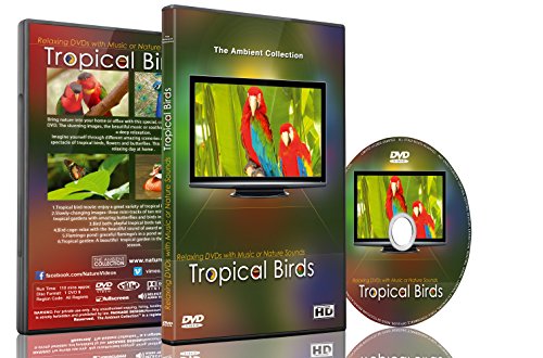 Entspannungs DVD - Tropische Vögel mit Musik oder Naturgeräuschen beruhigende Szenen für Hunde und Katzen und glückliche Menschen von The Ambient Collection