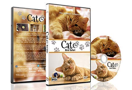 Familie Haustiere DVD - Katzen TV - Unterhalten Sie Ihre Haustiere mit anregenden Bildern von niedlichen kleinen Tieren mit natürlichen Geräuschen von The Ambient Collection