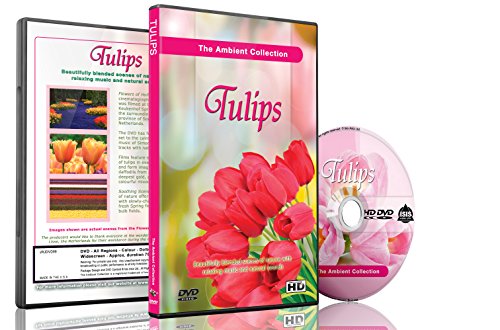 Tulpen Blumen DVD - Blumen von Holland, Videos zur Entspannung von The Ambient Collection