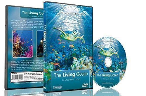 Underwater DVD- The Living Ocean - Relaxing Scenes of the Underwater World von The Ambient Collection