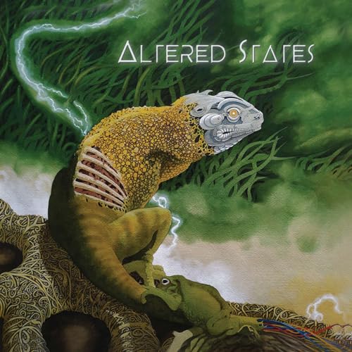 Altered States von The Black Noodle Project