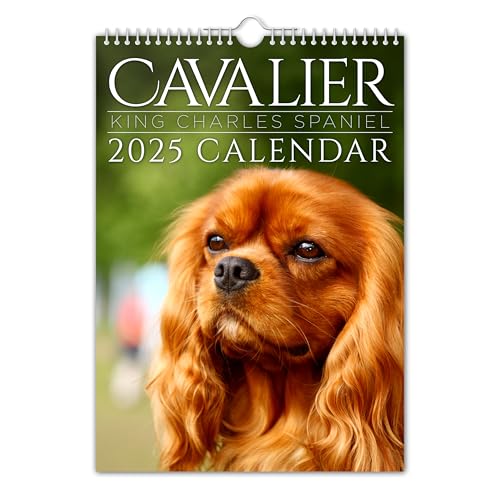 The Calendar King // Cavalier King Charles Wandkalender 2025, A4 von The Calendar King