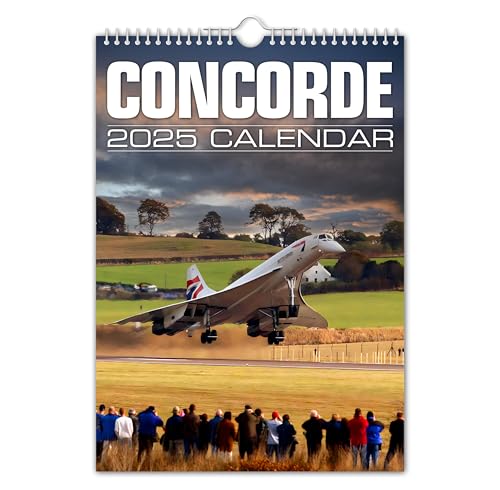 The Calendar King // Concorde – Wandkalender 2025 – Original (vollfarbig, A3-Größe) von The Calendar King