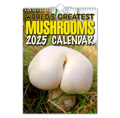 The Calendar King // World's Greatest Mushrooms - Wandkalender 2025 - lustig/schrullig/Weihnachten/Geburtstag/Geschenkidee/Geschenk/Neuheit/Humor/Wichteln/Jahresplaner (Vollfarbig, A3-Größe) von The Calendar King