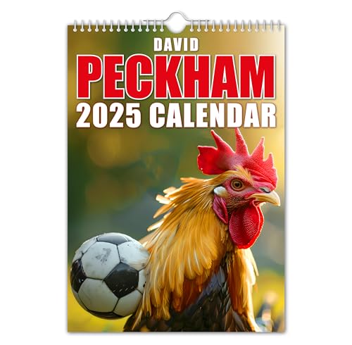 The Calendar King David Peckham Wandkalender 2025, lustig, witzig, Weihnachten, Geburtstag, Geschenkidee, Geschenk, Neuheit, Humor, Wichteln, Jahresplaner, Bürogeschenk (Vollfarbig, A4-Größe) von The Calendar King