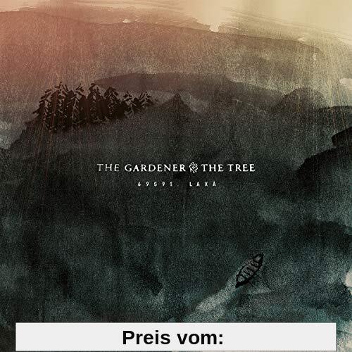 69591,Laxa von The Gardener & the Tree