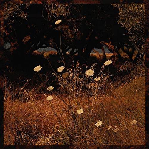 Earth Patterns [Vinyl LP] von The Leaf Label