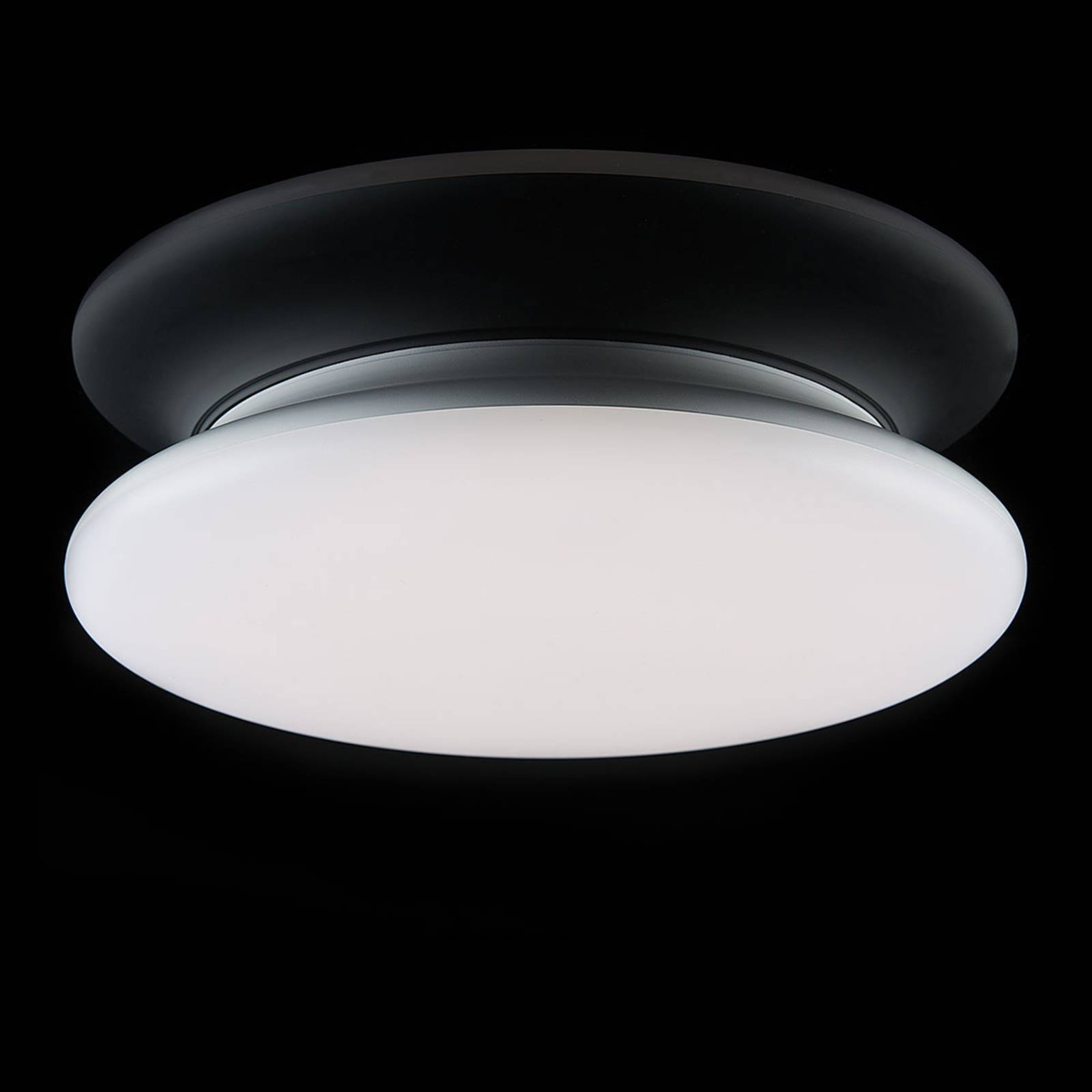 SLC LED-Deckenleuchte dimmbar IP54 Ø 30 cm 4.000 K SLC LED-Deckenleuchte dimmbar IP54 Ø 30 cm 4.000 K von The Light Group