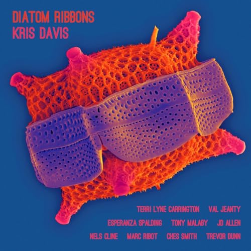 Diatom Ribbons Diatom Ribbons von The Orchard