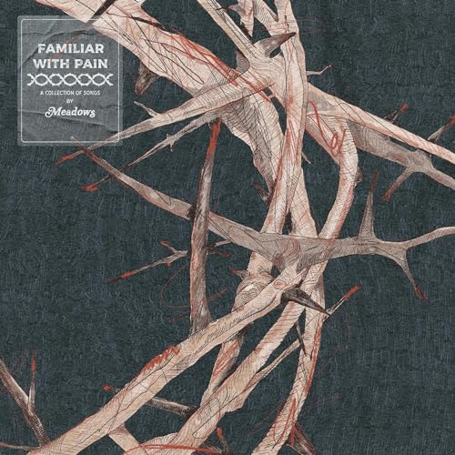Familiar With Pain von The Orchard