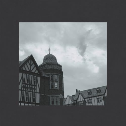 Here and Nowhere Else (10th Anniversary) [Vinyl LP] von The Orchard