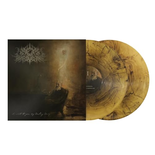 I Write To You, My Darling Decay [Vinyl LP] von The Orchard