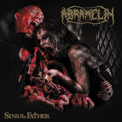 Sins of the Father [Vinyl LP] von The Orchard