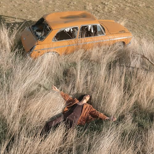 The Plow That Broke the Plains [Vinyl LP] von The Orchard