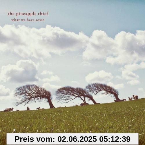 What We Have Sown von The Pineapple Thief