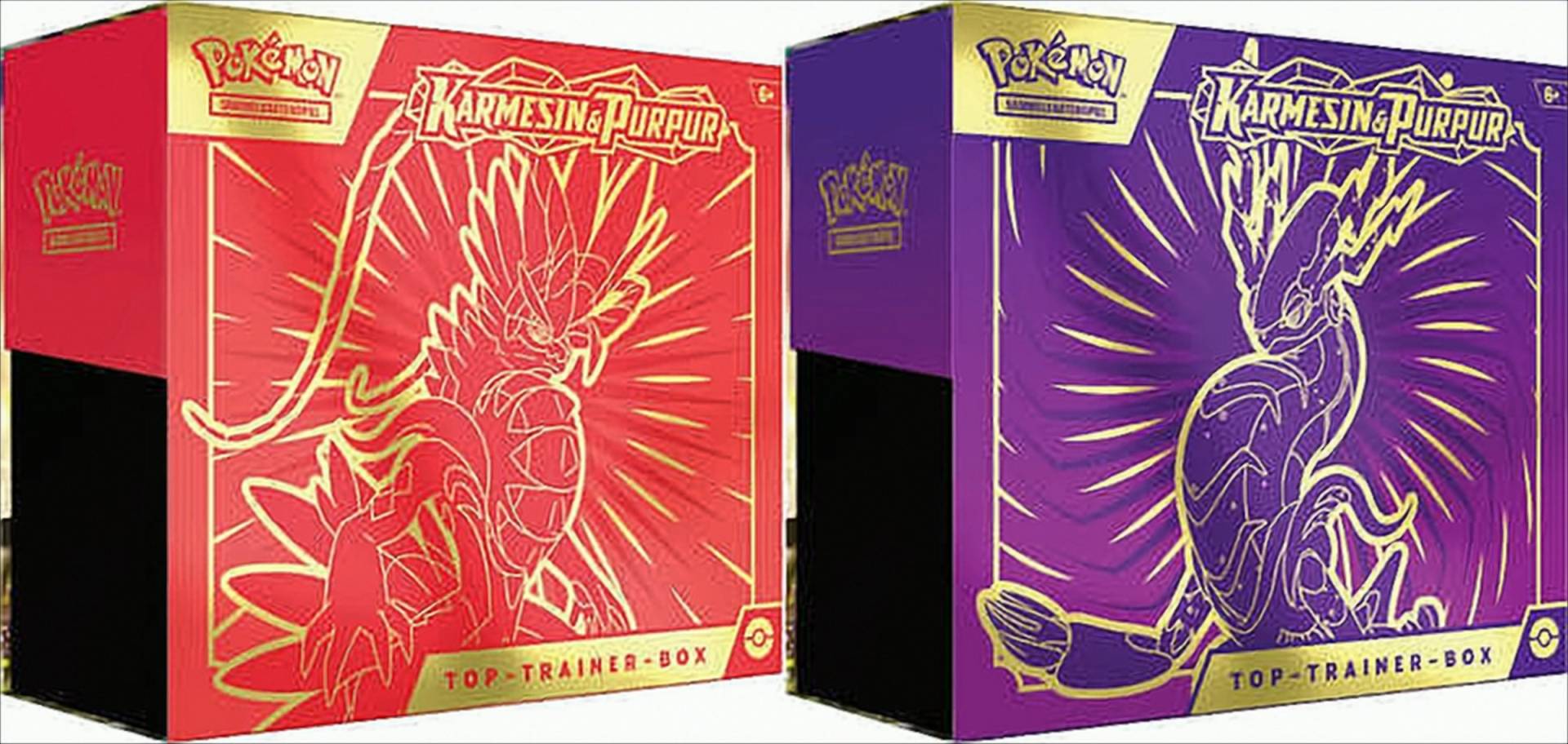 Pokemon Top-Trainer Box Pack deutsch Sortierter Artikel, Koraidon oder Miraidon von The Pokemon Company
