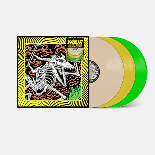 Acoustic Gizzard - Live in Detroit 2024 [Vinyl LP] von The Reverberation Appreciation Society