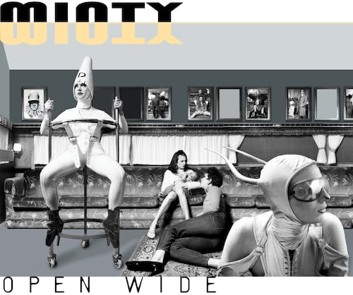 Open Wide [Vinyl LP] von The State51 Conspiracy