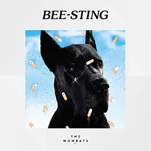 Bee-Sting (7'' Single) [Vinyl Single] von The Wombats (Membran)