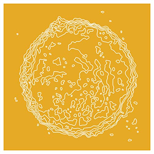 Elements [Vinyl LP] von The state51 Conspiracy