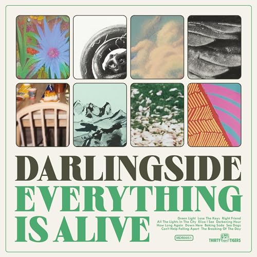 Everything Is Alive [Vinyl LP] von Thirty Tigers