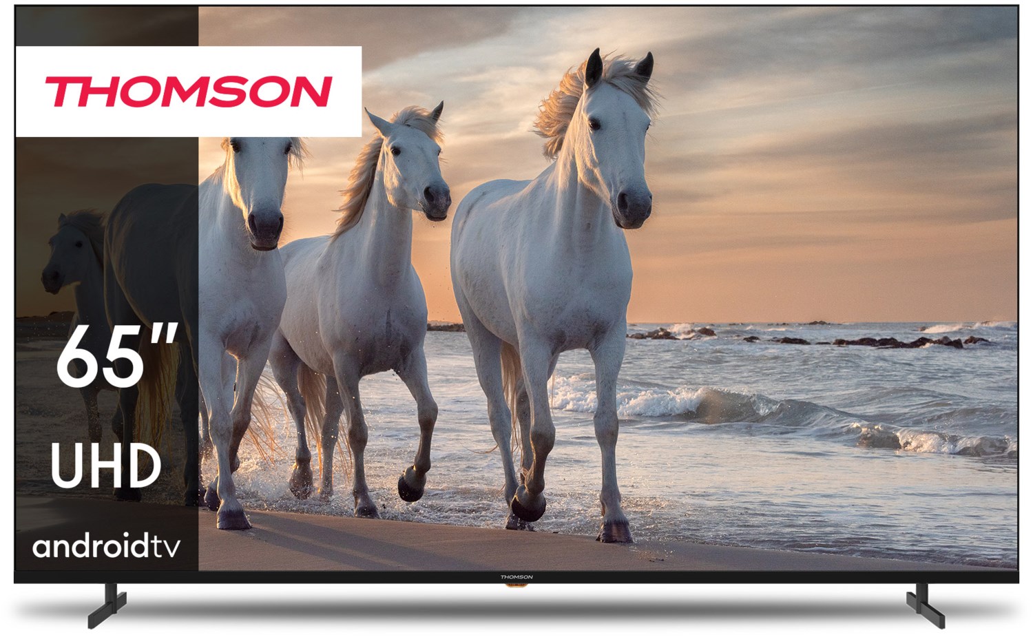 65UA5S13 164 cm (65") LCD-TV mit LED-Technik schwarz / F von Thomson