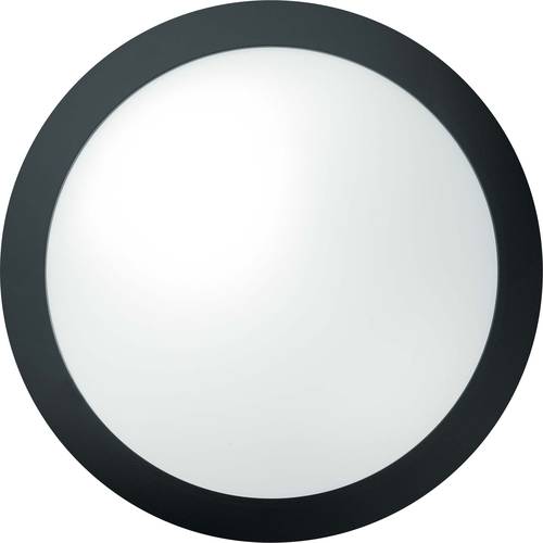 Thorn ECO TOM 96668718 LED-Wandleuchte LED fest eingebaut 14W LED Schwarz Thorn ECO TOM 96668718 LED-Wandleuchte LED fest eingebaut 14W LED Schwarz von Thorn ECO