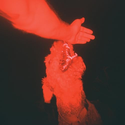 A Trick of the Light [Vinyl LP] von Three Lobed (H'Art)