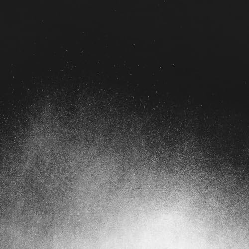 Arc of Night [Vinyl LP] von Three Lobed Recordings