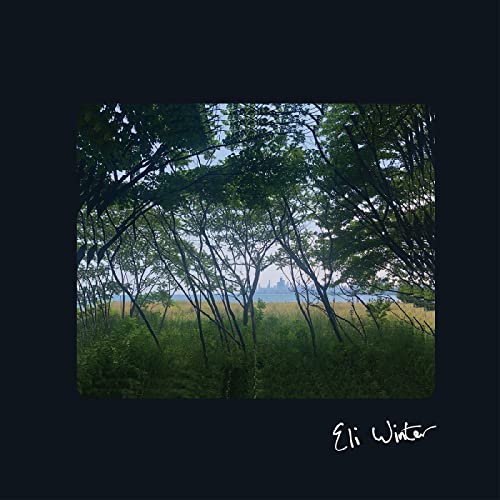 Eli Winter [Vinyl LP] von Three Lobed (H'Art)