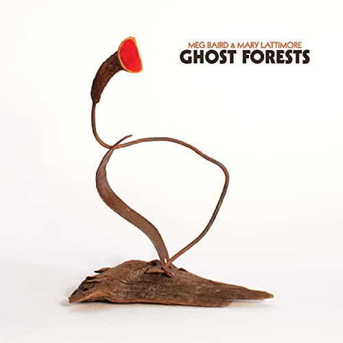 Ghost Forests [Vinyl LP] von Three Lobed Recordings