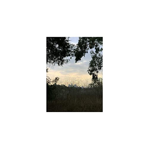 Arroyo [Vinyl LP] von THRILL JOCKEY