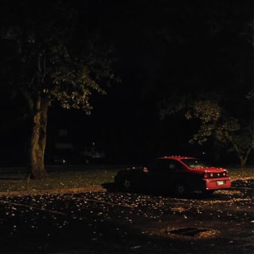 No Floor [Vinyl LP] von Thrill Jockey / Indigo
