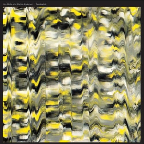 Swallowtail von Thrill Jockey / Indigo