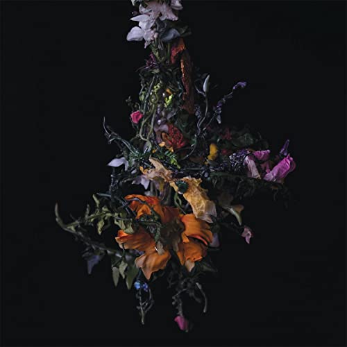 Nature Morte [Vinyl LP] von Thrill Jockey Records