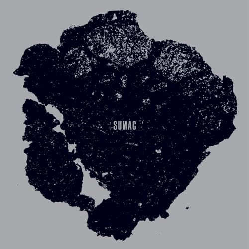 What One Becomes (Opaque Gray Vinyl) [Vinyl LP] von Thrill Jockey Records