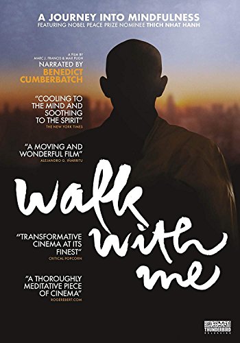 Walk With Me [DVD] [2018] von Thunderbird
