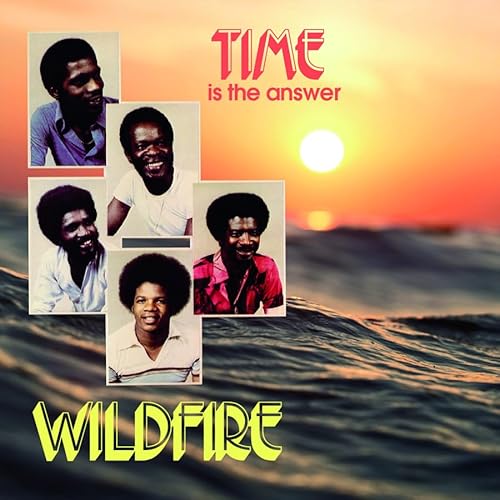 Time Is the Answer [Vinyl LP] von Tidal Waves Music / Cargo